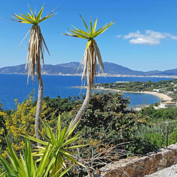 Les terrasses du Pano T3 location de vacances Corsica Porticcio en Corse