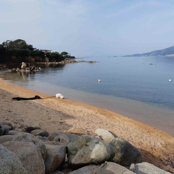 26-t3d-corsica-porticcio-plage-jour